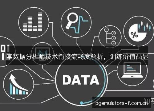 某数据分析师技术衔接流畅度解析，训练价值凸显